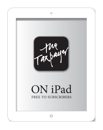 Additional Electronic Subscriptions